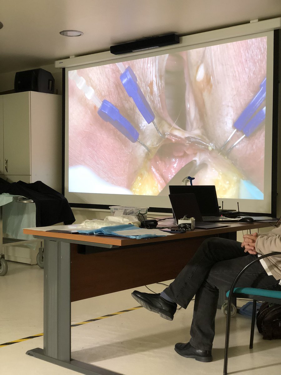 Ponemos fin al XIV Curso de Anatomía Quirúrgica Aplicada a las técnicas de Cirugía Colorrectal. Aprendiendo de los mejores 😊👨🏻‍💻🤌 <a href="/roigvila/">José Vicente Roig</a> <a href="/JuanGarcaArmen1/">Juan García Armengol</a> <a href="/MariaGausi/">𝐄𝐊-𝟒𝟕.eth</a> <a href="/VicentePlaMarti/">Vicente Pla Marti</a> <a href="/davidmoro78/">David Moro-Valdezate</a> <a href="/Vithas/">Vithas Hospitales</a> <a href="/UCPSC/">Coloproctología</a> <a href="/fihguv/">FIHGUV</a> <a href="/AECP_FAECP/">AECP</a>