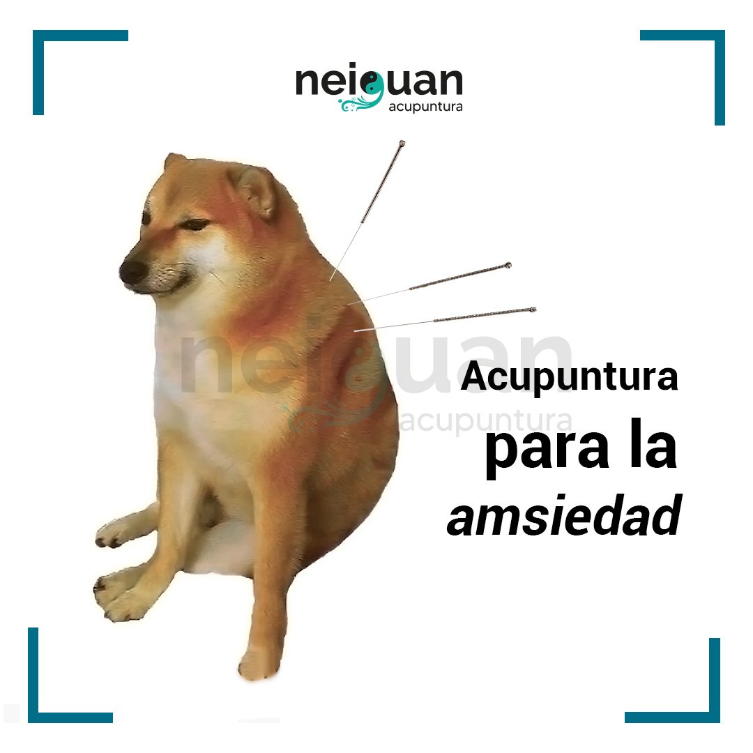 clinica_neiguan's tweet photo. #viernesito #memes #acupuntura #Neiguan #neiguanlovers https://t.co/zArspXcy2d