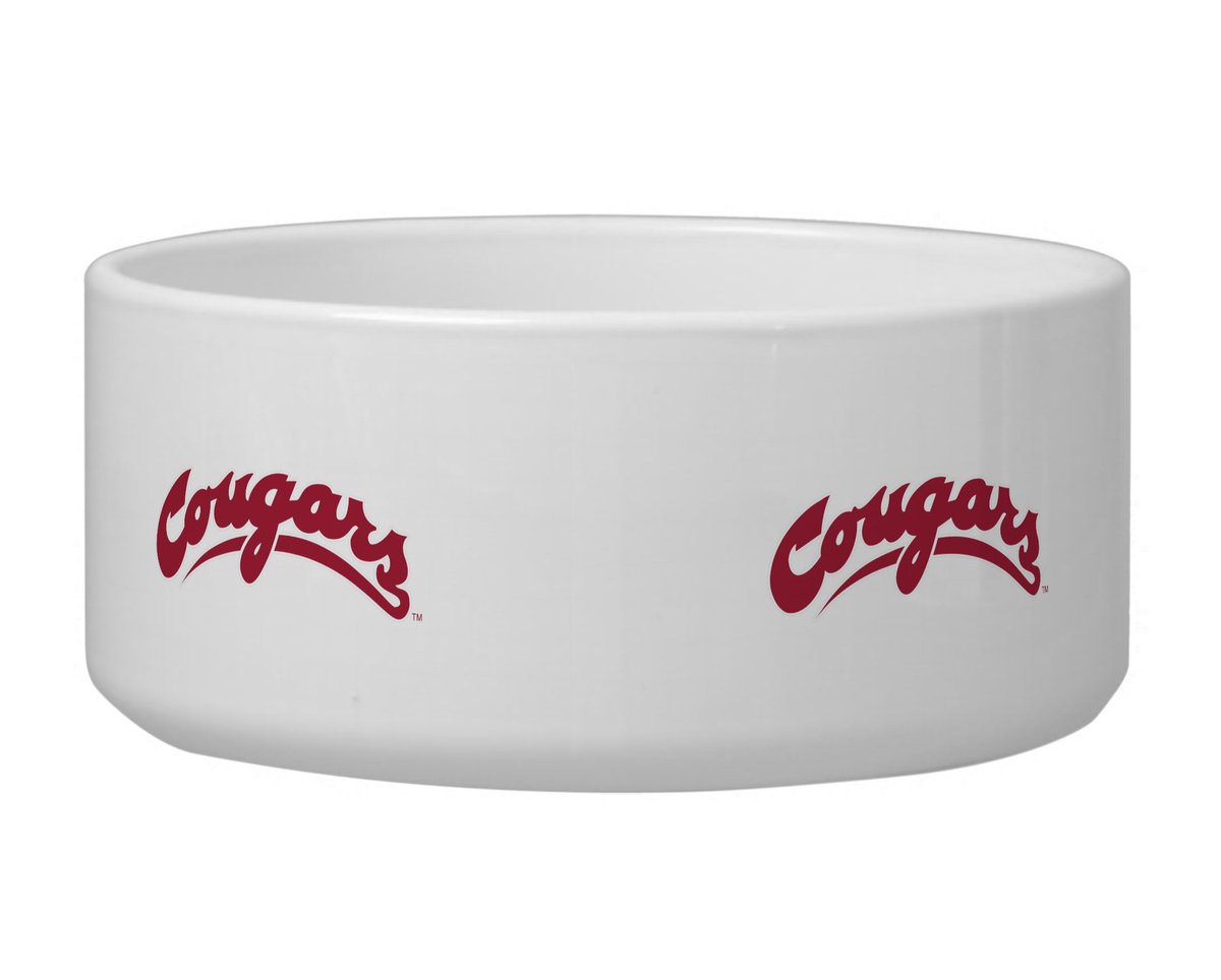 ButchTCougar's tweet photo. .@HarryTheHusky didn't get a bowl this year so I got him one. https://t.co/HvUYZivUMQ