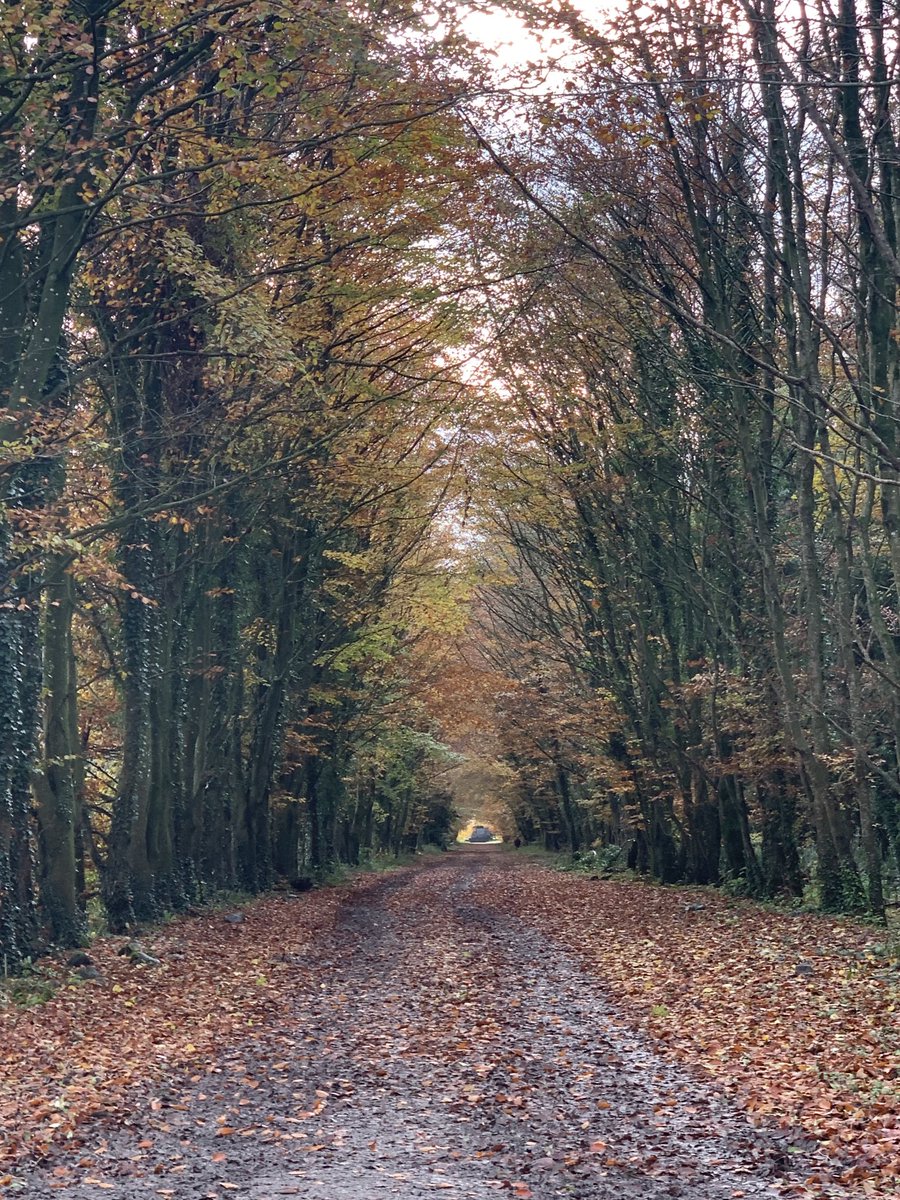 Rosway Walking Club tweet media