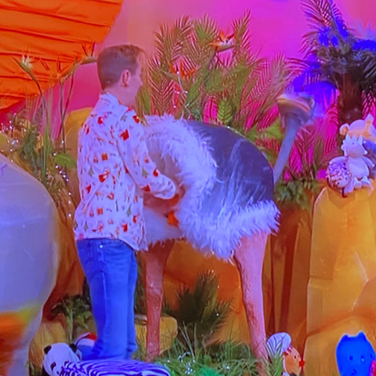 MEANWHILE IN IRELAND #LateLateToyShow