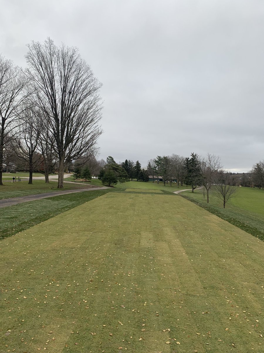 mark_piccolo's tweet photo. ⁦@GaltCntryClub⁩ 7th and 8th tees projects finished in the nick of time. Improved accessibility and more space to play and grow! https://t.co/Rh4Xa2710E