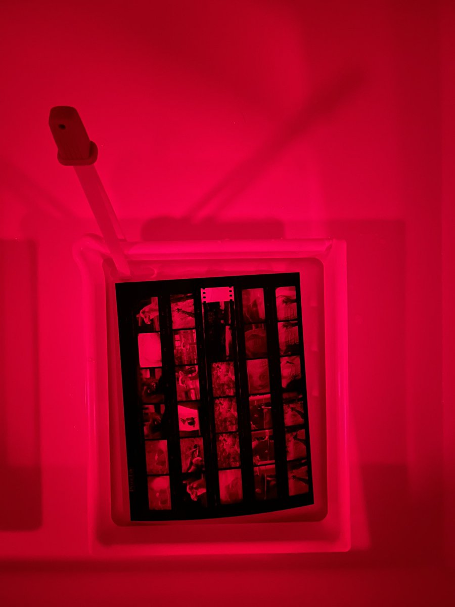 joswr1ght's tweet photo. Took a break from #sansholidayhack dev and testing today to do some darkroom printing. Making prints with your hands is slow and challenging and tedious and so, so rewarding. https://t.co/BVcRuVXo6q