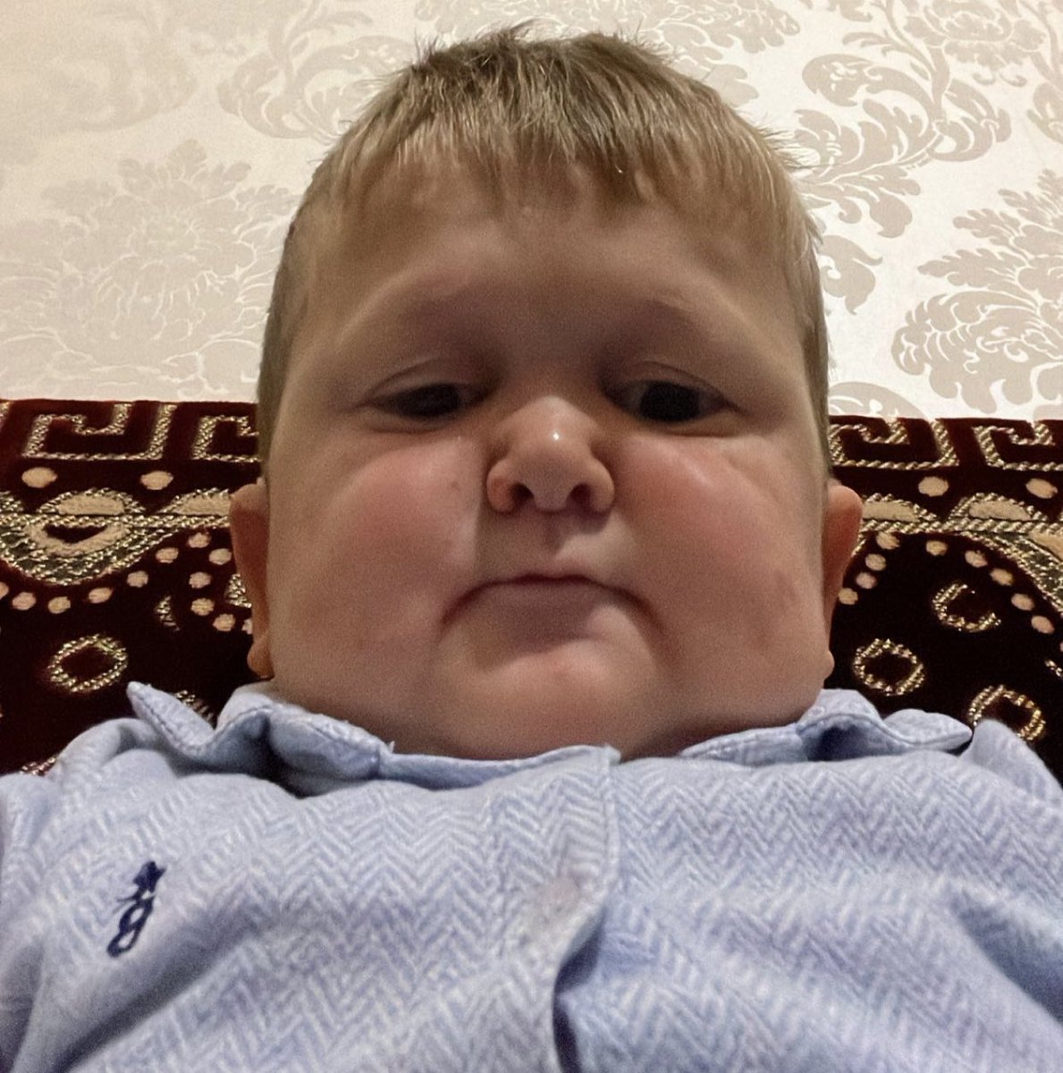 HasbuIIa's tweet image. What’s happening?