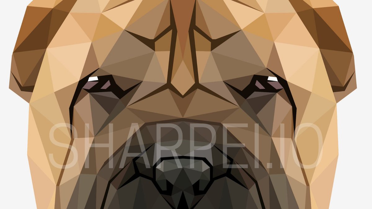 SharPeiProject's tweet photo. What is our goal?
Our goal is to be the first meme token community which is organically grown over the years.
What does that mean?
It means we are growing from the passing word of our growing community.
TRANSPARENCY | TRUST | COMMUNITY
@SharPeiProject @PancakeSwap @BinanceChain https://t.co/z20nmV2fcd