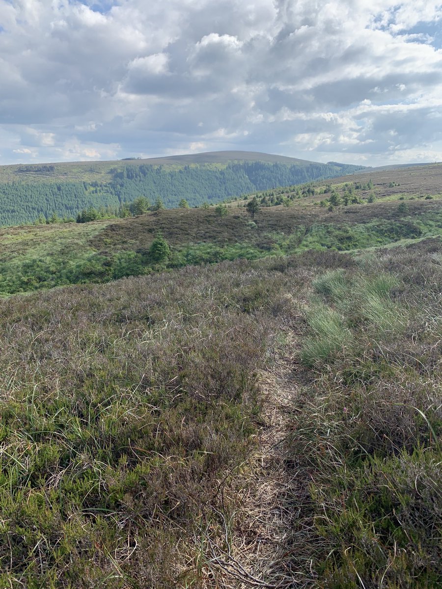 Rosway Walking Club tweet media