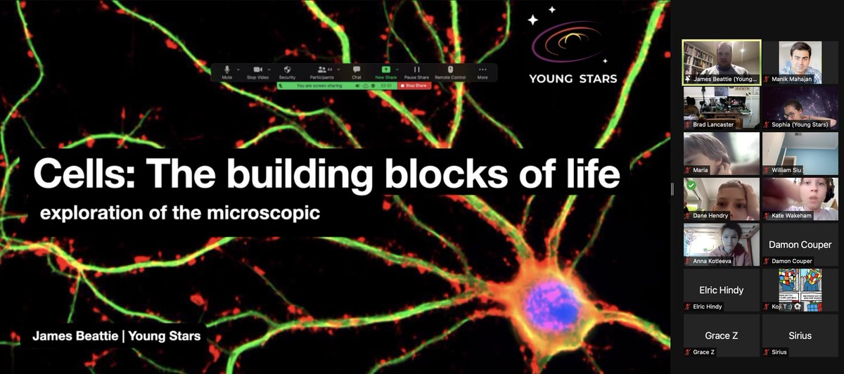 On a different scale of the universe exploration today with the young stars, into the hidden world of cells with <a href="/astro_magnetism/">Dr. James Beattie</a>