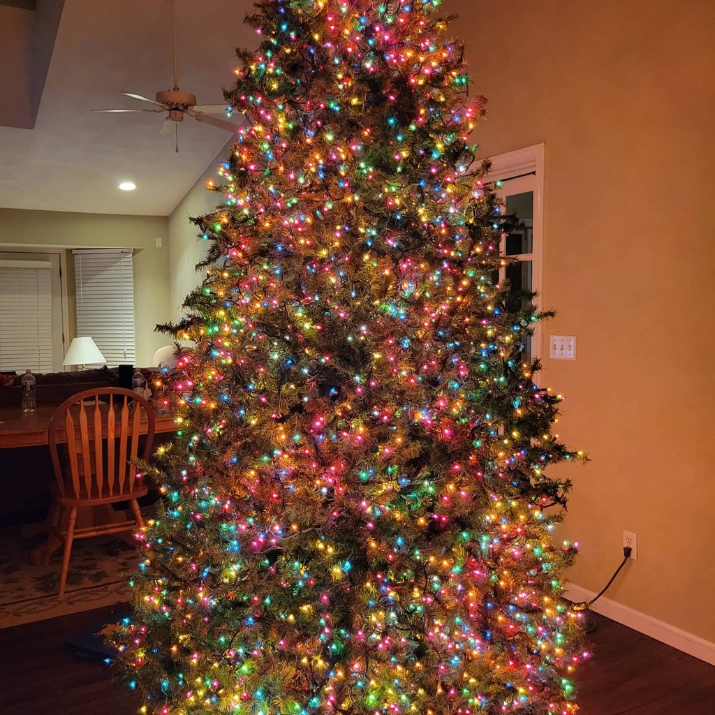 EmbroideryOnDem's tweet image. Lights are on the tree. Decorating it tomorrow. This is the last year for my giant tree. 🥺