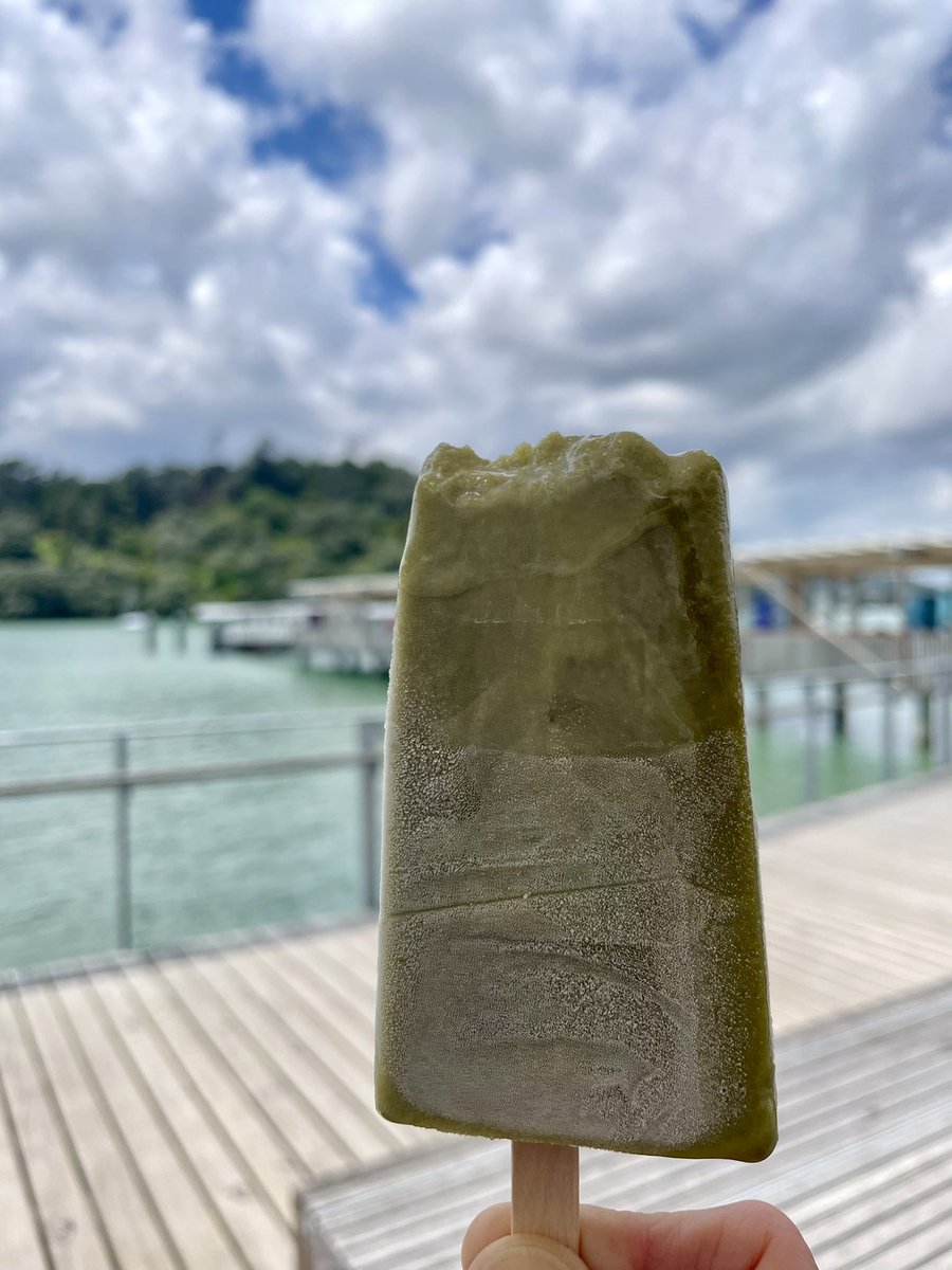 NatashaBarret18's tweet photo. Wondeful to meet up with friends & explore Hobsonville Point in the sun.
#HobsonvillePoint #WestAuckland #iphone12pro #shotoniphone #lockdownnz #matcha #iceblocks #markets #harbours #sea #ferryterminals https://t.co/SAPuSd0n5B