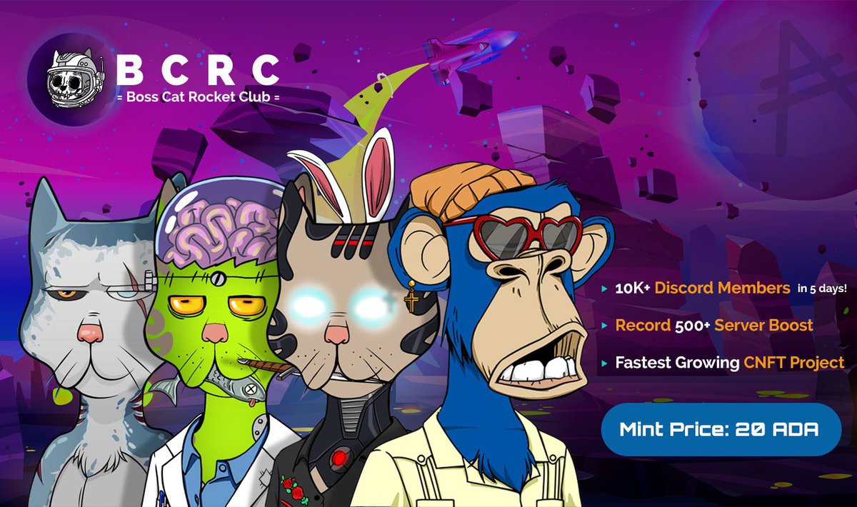 Boss Cat Rocket Club tweet media