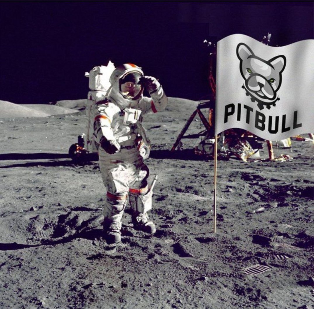 casco134's tweet photo. @binance $pit #pitbulltoken #Pitbullish 🚀🚀🚀🚀🚀🌕🪐 https://t.co/R5Lh1Msd3O