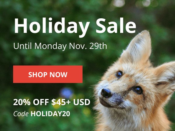 Hojicha Co. tweet media