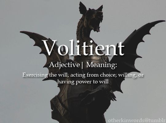 Summer__Phoenix's tweet photo. #Word | #ObscureWord | #RareWord https://t.co/HuJxCYkvMk
