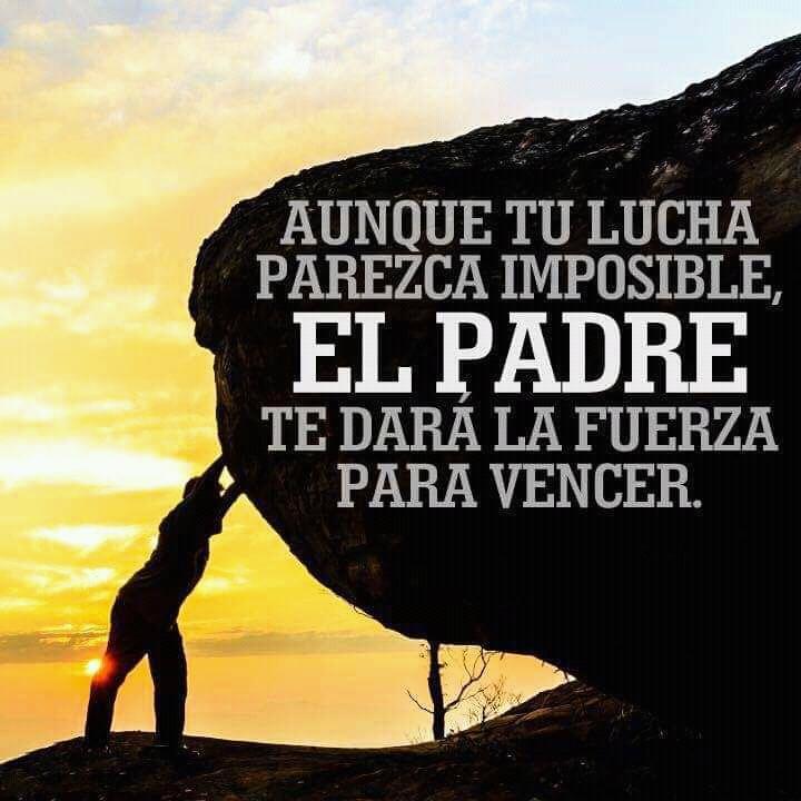 yoilanlabradabotiel tweet media