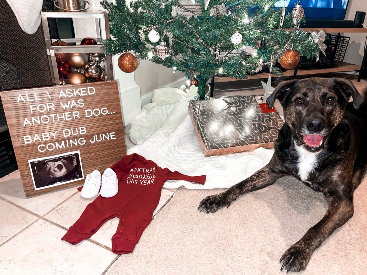 rylieann22's tweet photo. Baby Williams’ on the way 🤍🤍🤍 https://t.co/gOq9AXdeRe