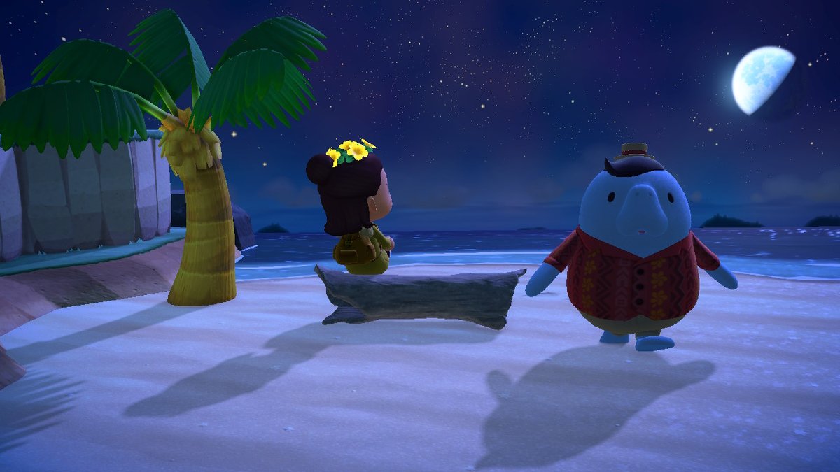 KBudrock's tweet photo. #AnimalCrossing #ACNH #NintendoSwitch https://t.co/GjExfxXvDZ
