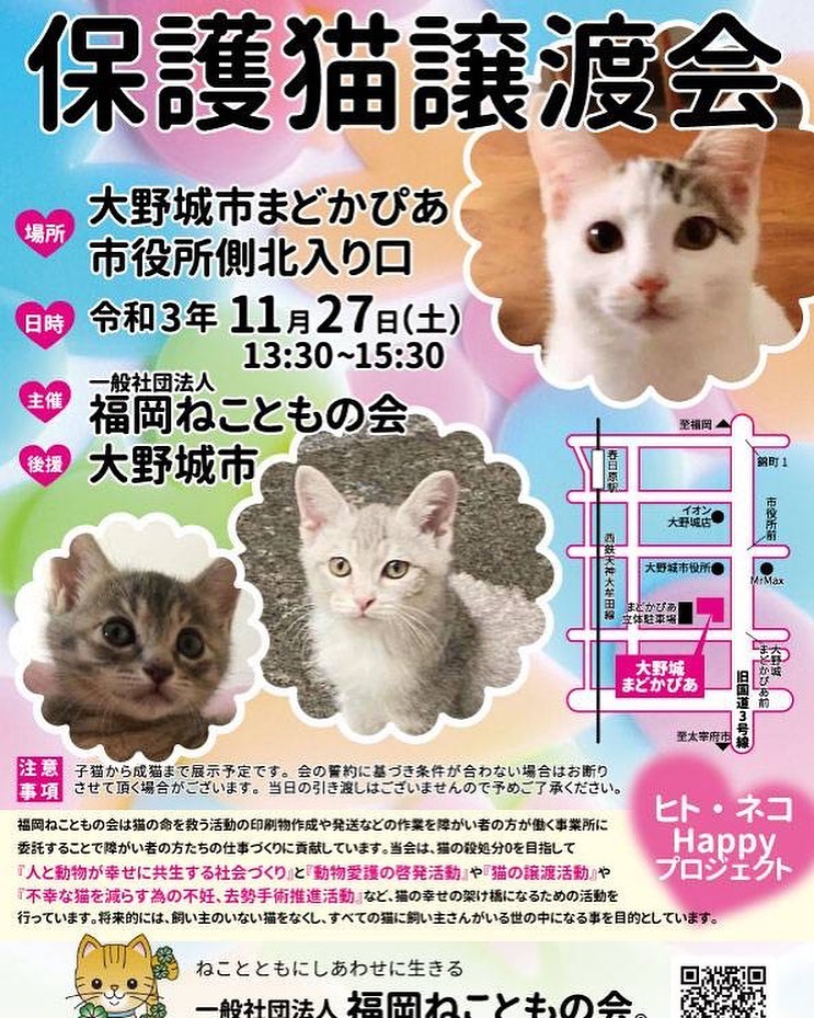 一般社団法人福岡ねこともの会サポートクラブ Nekotomoclub Twitter
