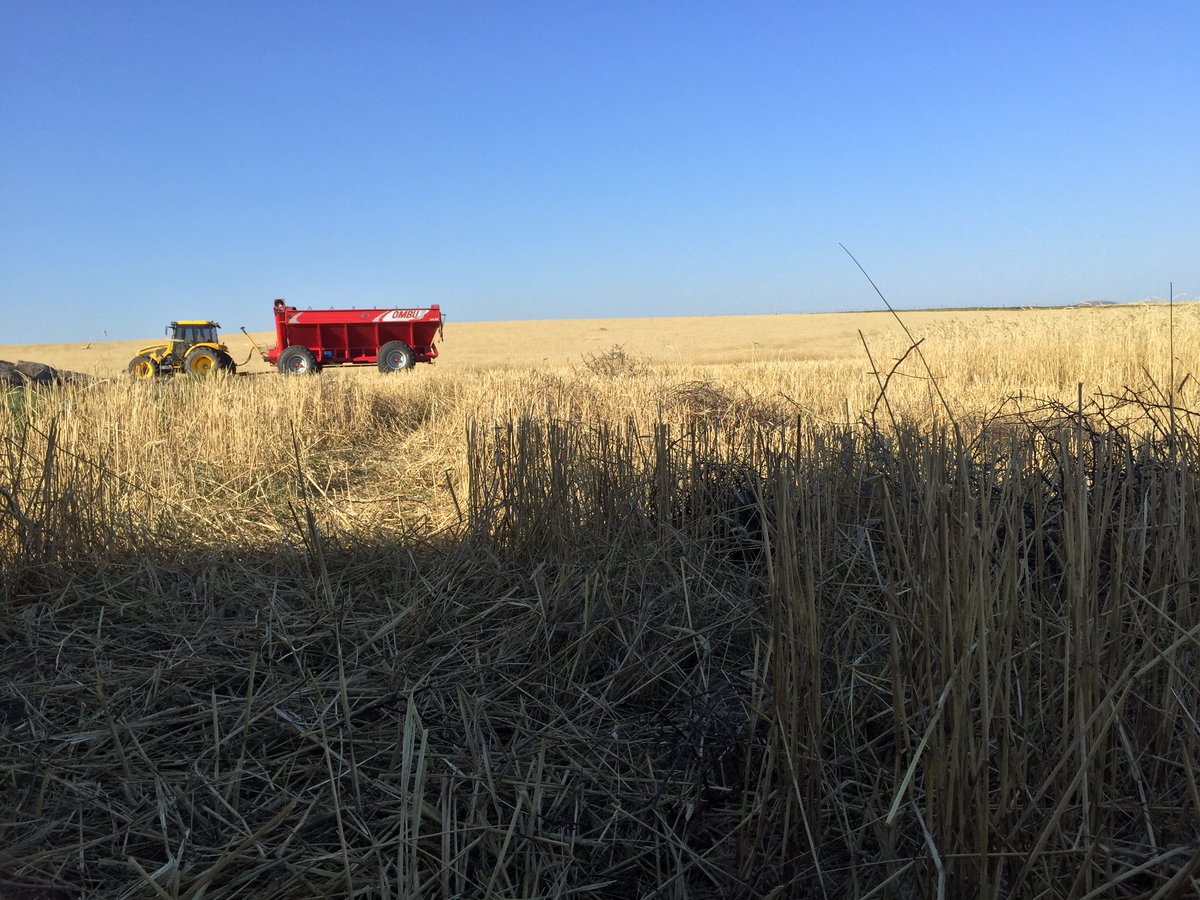 Postales de trilla 🚜