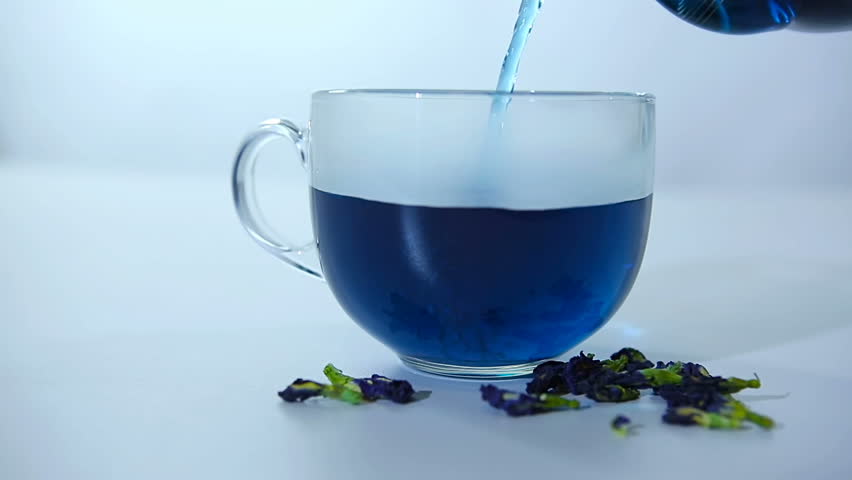 TheTeaShore1's tweet photo. Blue Pea flower is one the top beverage trends, ruling the internet because of its distinctive blue hue &amp; many health benefits.  
Shop at: https://t.co/yqoemHVGmY
#bluepeaflower #bluepeatea #bluetea #vegan #tea #weightloss #sustainability #fitness #fitnessmotivation #theteashore https://t.co/cpkNcniXK2