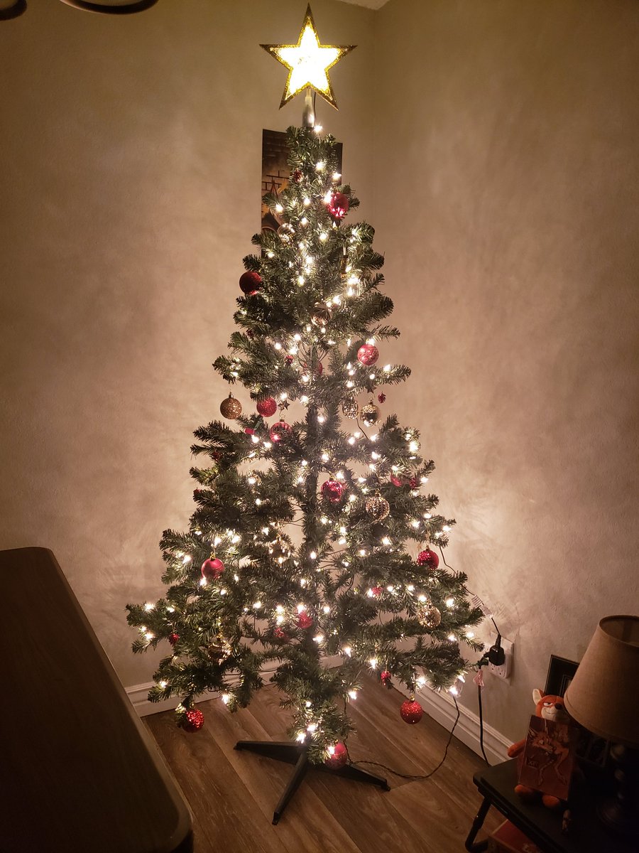 I just put up my first Christmas tree ever in my 24 years of existence, I'm so happy about how it looks!~

Merry Christmas Everyone!~ ❤️