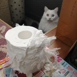 「わ…わたしを疑うんですか？」…いやいや、どうみてもあなたが犯人ですw