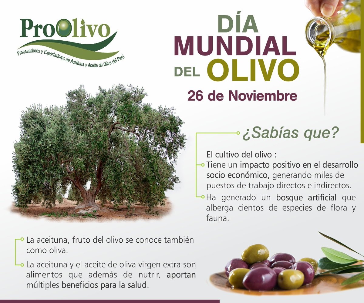 OlivoPro's tweet photo. El #olivo  no solo simboliza paz, sabiduría  y armonía, ha contribuido a unir y ayudar a la diversidad de los pueblos en todo el mundo, generando desarrollo y aportando bienestar social y económico.
¡¡¡Feliz día mundial del olivo!!! 
#diamundialdelolivo #DíaMundialdelOlivo https://t.co/MW8oN1fdHr