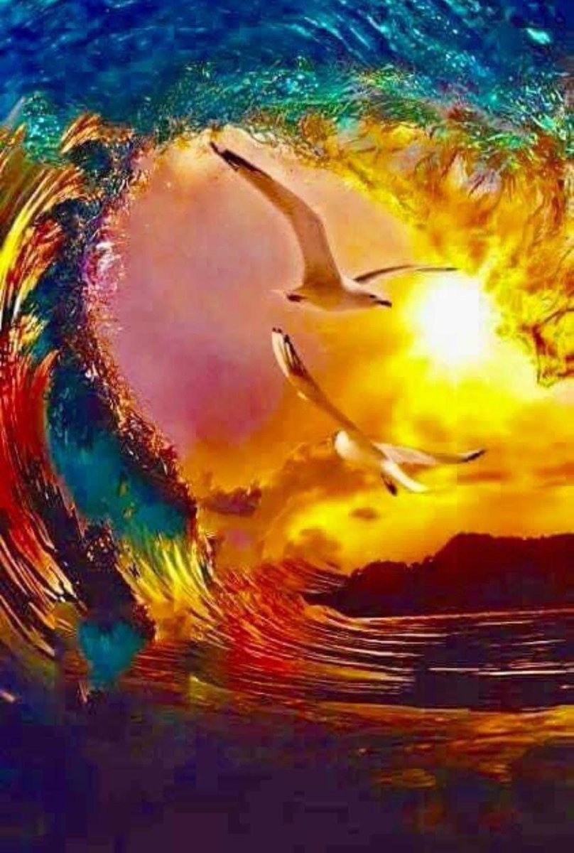 RobertoAbanto's tweet photo. Nature for You. https://t.co/Vm9jI1Qeej