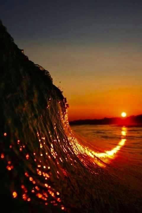 RobertoAbanto's tweet photo. Nature for You. https://t.co/Vm9jI1Qeej