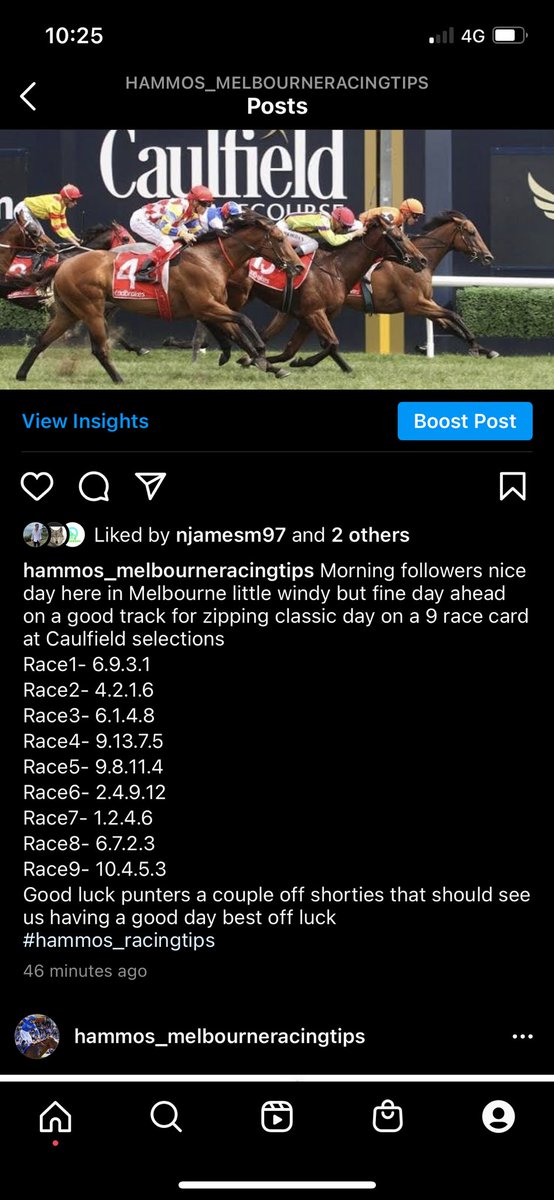 Melbourne Racing Tips tweet media