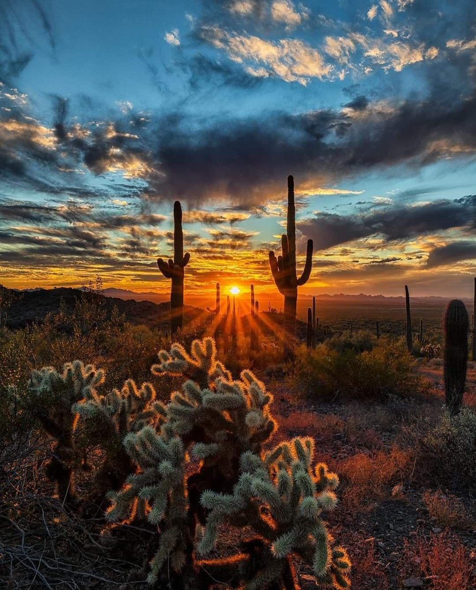 When you Miss The Fairway in AZ and it’s OK!