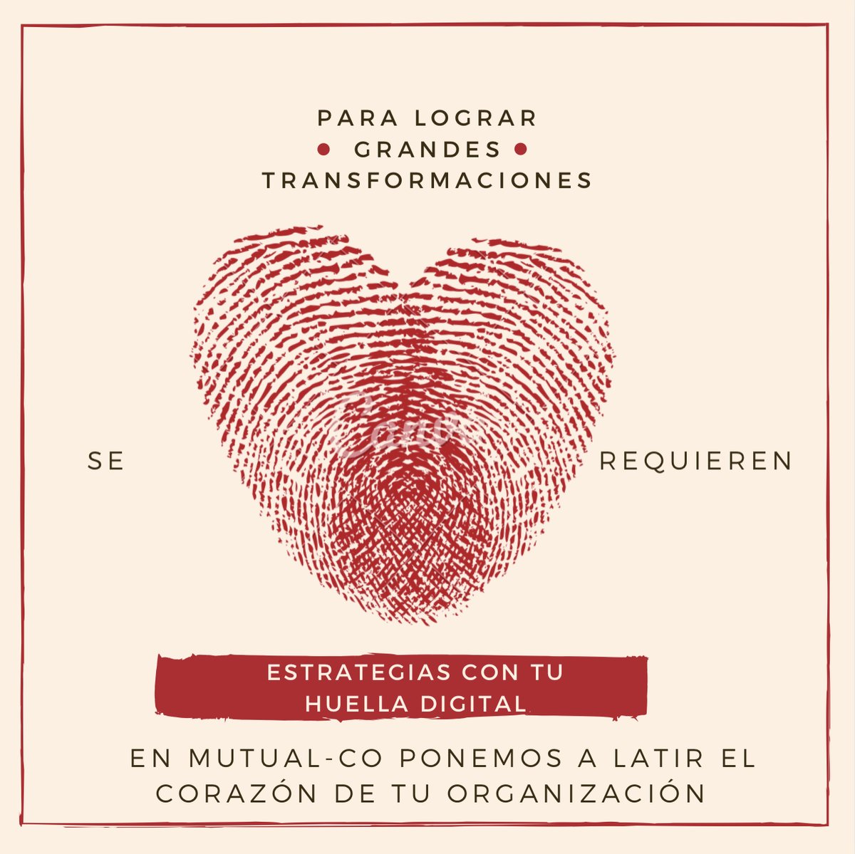 Mutual_Co's tweet photo. Terminamos esta semana desarrollando soluciones a la medida para que las organizaciones escalen su impacto y contribuyan al cambio social, mientras generan valor y rentabilidad. #FelizViernes https://t.co/vFZTjqjHbb