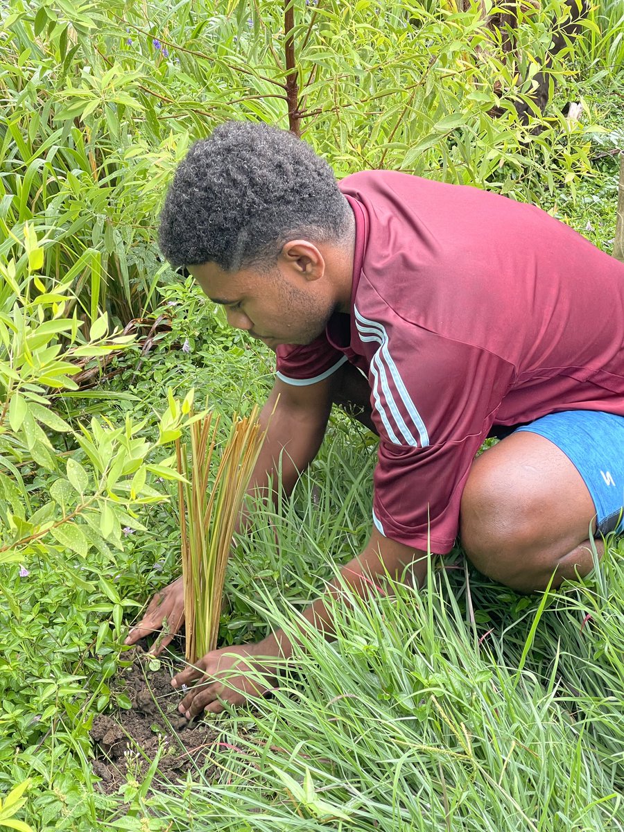 afgfiji's tweet photo. Later the AFG members donated some farming tools to aid the ongoing efforts of the #NavolauYouth on food security &amp; livelihood. The materials included greenhouse netting for the nursery that will house native trees &amp; native fruit tree seedlings 🌱 https://t.co/NiZRMHK7lO