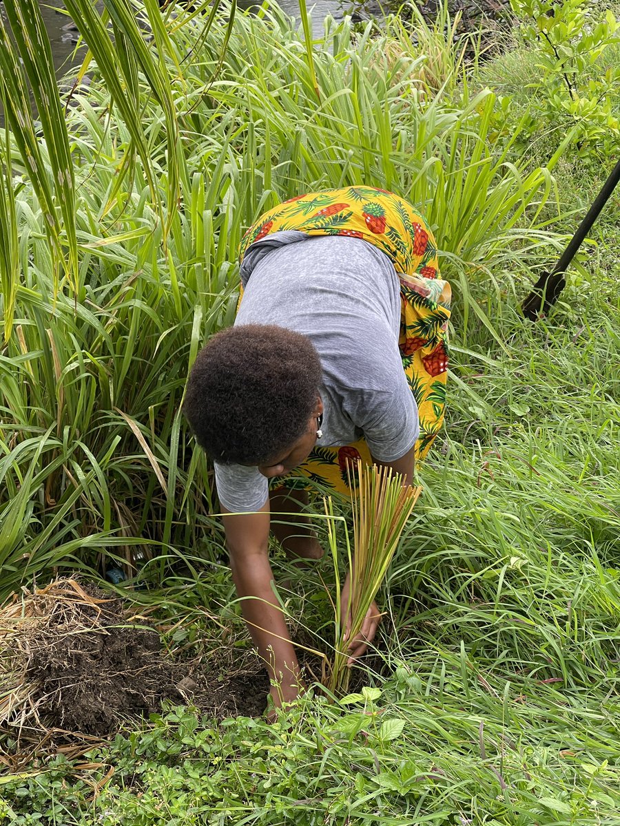 afgfiji's tweet photo. Later the AFG members donated some farming tools to aid the ongoing efforts of the #NavolauYouth on food security &amp; livelihood. The materials included greenhouse netting for the nursery that will house native trees &amp; native fruit tree seedlings 🌱 https://t.co/NiZRMHK7lO