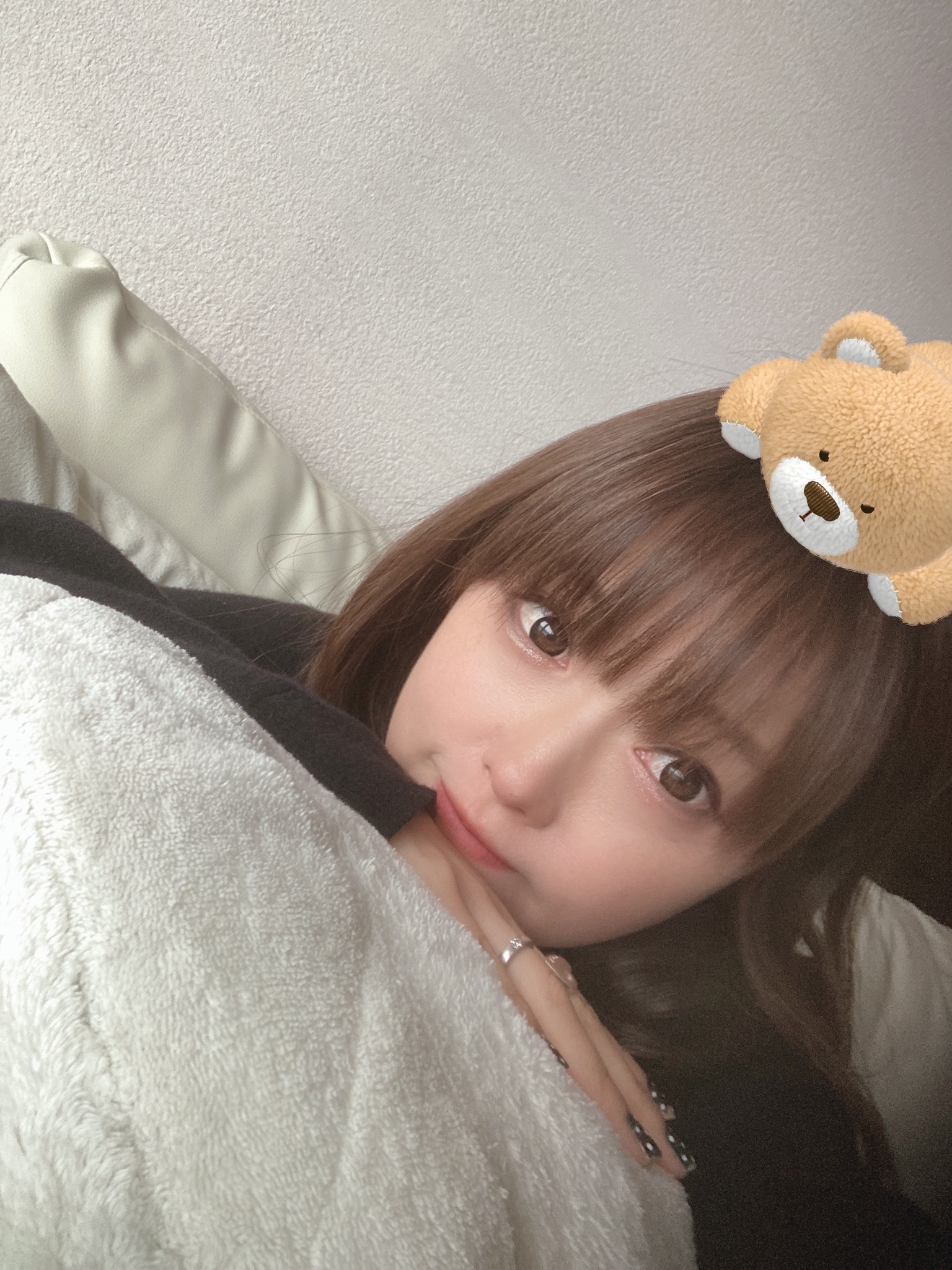 なんか乗ってる…🐻 https://t.co/40QwBNZT5h