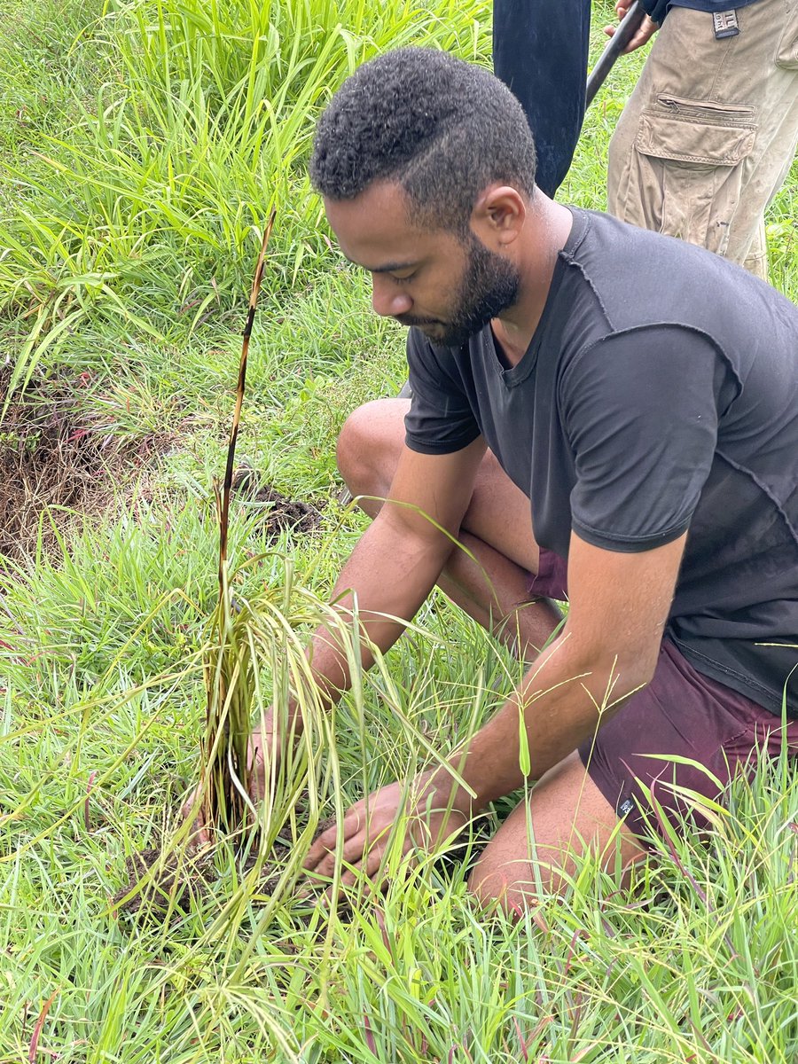 afgfiji's tweet photo. AFG members joined the #NavolauYouth this morning to plant vetiver grass at the riverbank &amp; coastline in the efforts to mitigate coastal erosion, that has resulted from strong &amp; increasing tidal waves. 

#Youth4ClimateAction #Youth4ClimateJustice https://t.co/1bP2PdlPxr