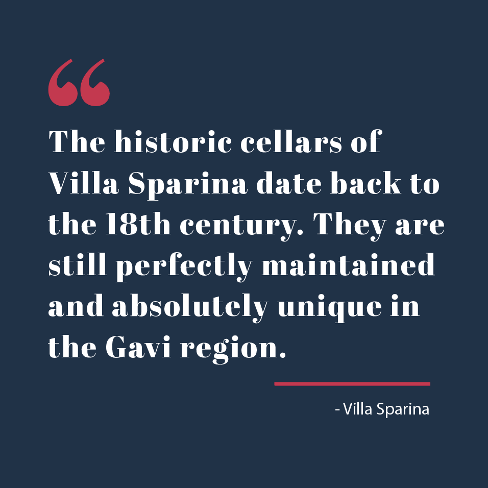 SelectWinePros's tweet photo. Steeped in rich history, the distinctive bottle shape used by Villa Sparina was inspired by an old bottle that was discovered in their ancient cellar, representing a deep connection to the past and to the legacy of this extraordinary farm. #SelectWines https://t.co/dnLmWOY20Z