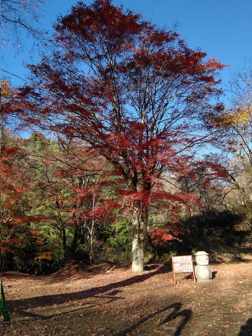 花貫渓谷の紅葉 茨城県 紅葉名所21 ウォーカープラス