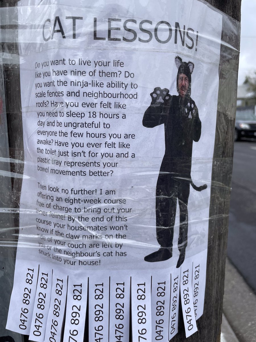 kylie_gorringe's tweet image. Brunswick may have lots of anti-vaxxers, but it is also full of awesome weirdos #catlessons