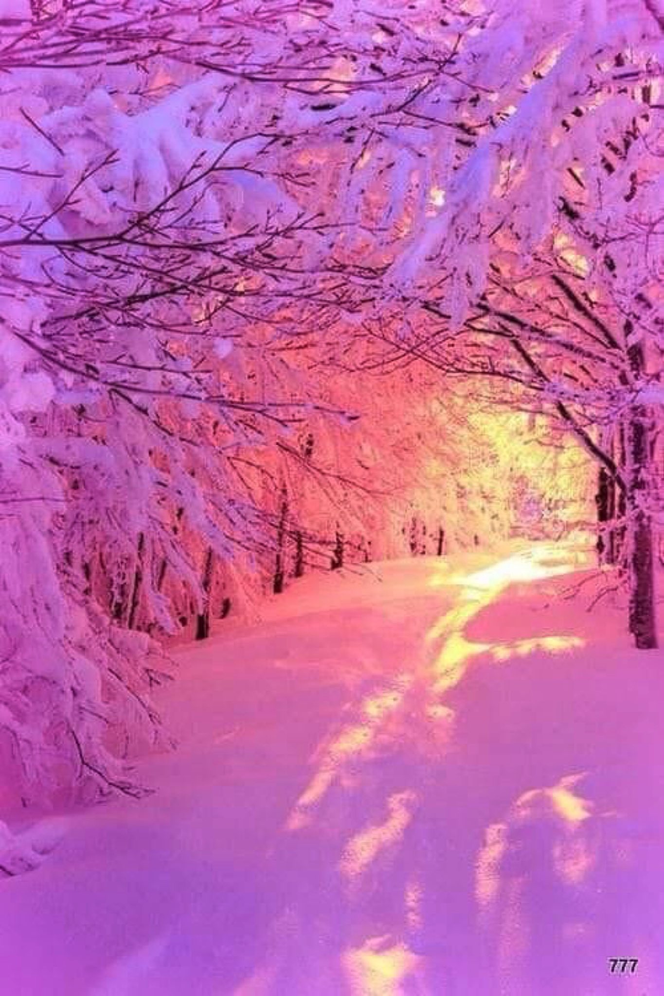 DeeOna Fuson on Twitter: "PRINCIPLES OF MIRACLES 40 The miracle acknowledges everyone as your brother and mine. It is a way of perceiving the universal mark of God. . A Course In