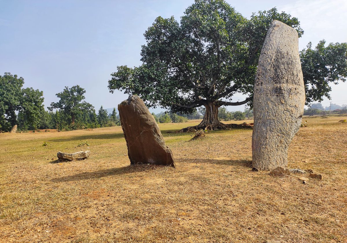 souravchandra's tweet photo. #Obra #Megalithic Site, #Chatra

Located adjacent to the serene Bakulia river, this site is remarkable in many ways. Two tall but slightly inclined menhirs will instantly catch our attention. These two are arranged in North-South direction while a third one is lying flat. https://t.co/bbXrHz22o7