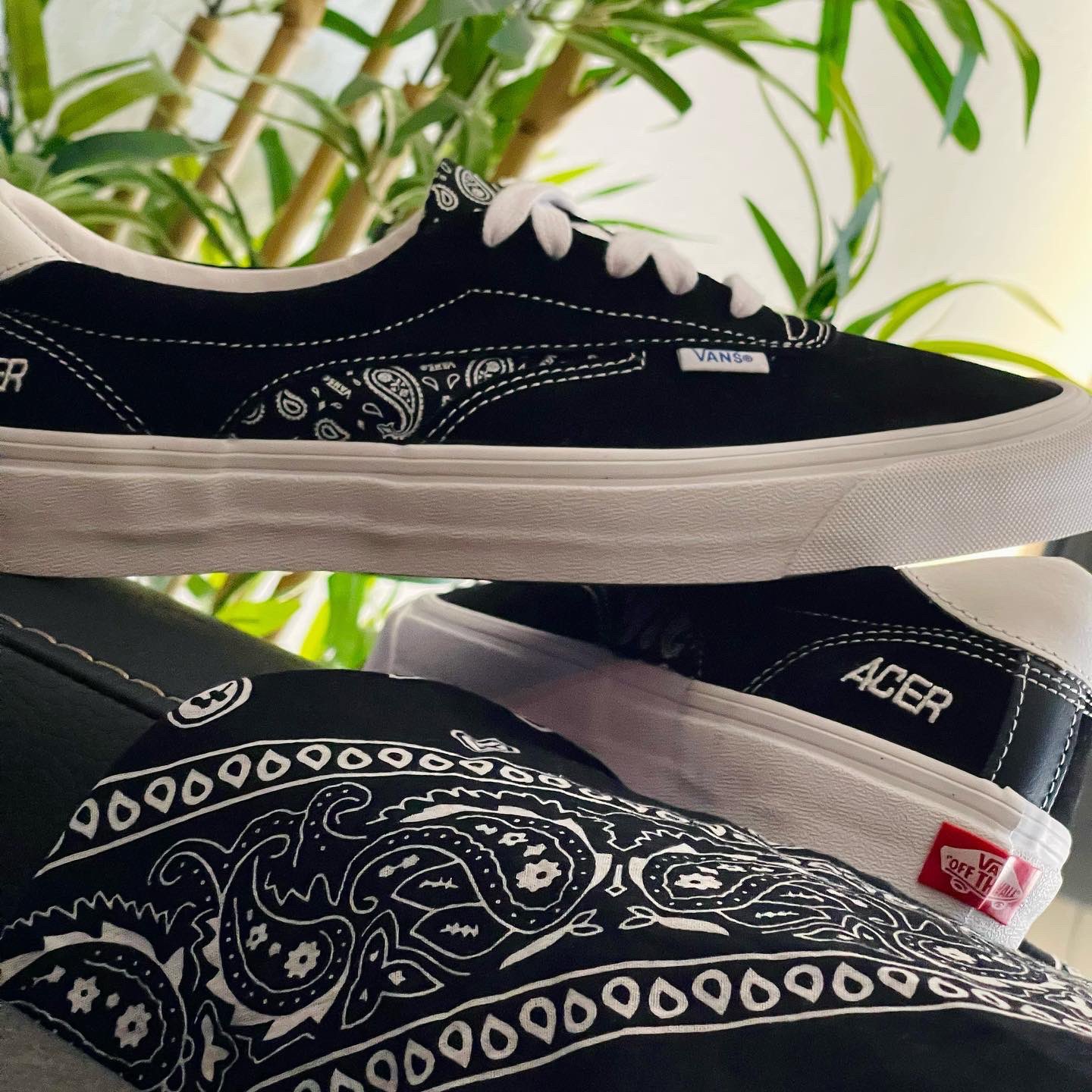 vans acer ni