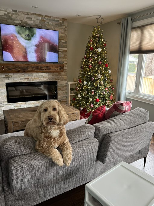 Set up my Christmas tree today ❤️ isn&rsquo;t it cute?! https://t.co/wU2cCgKER5