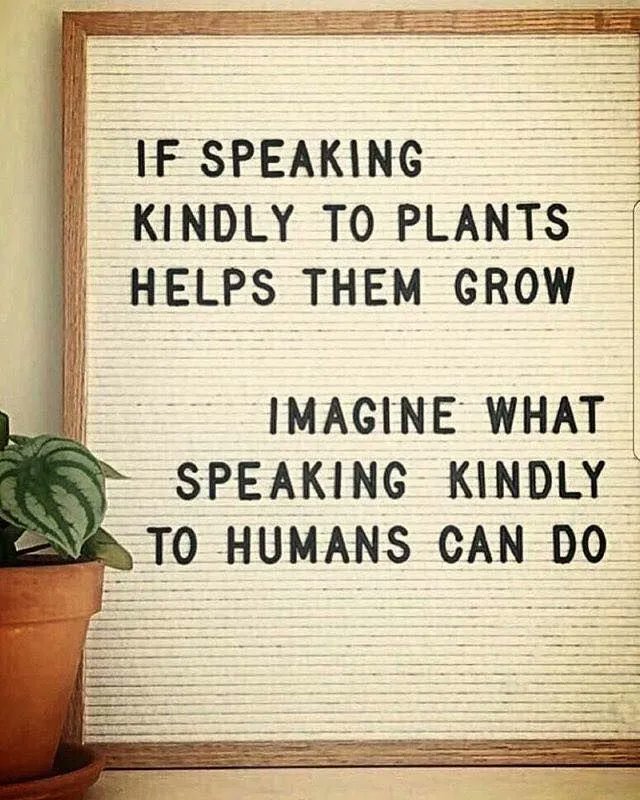 Self_Reg's tweet photo. Just imagine. 🌱 #SelfReg #SpeakKindly https://t.co/NhkGdqVRft