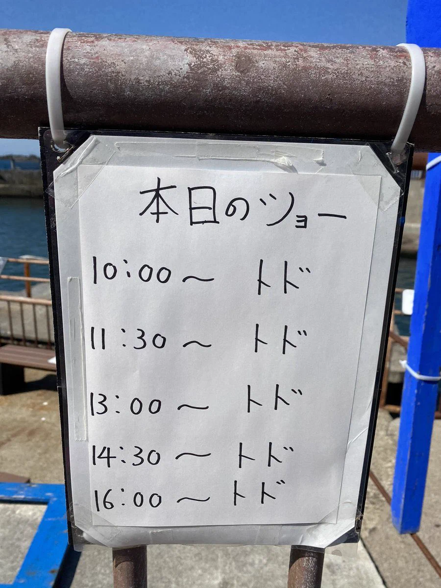 酷使しすぎでは？本日のショーの主役がすべて一緒www
