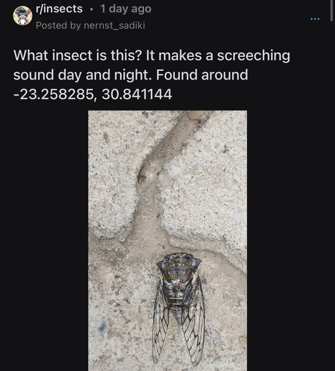 why did they doxx the cicada???