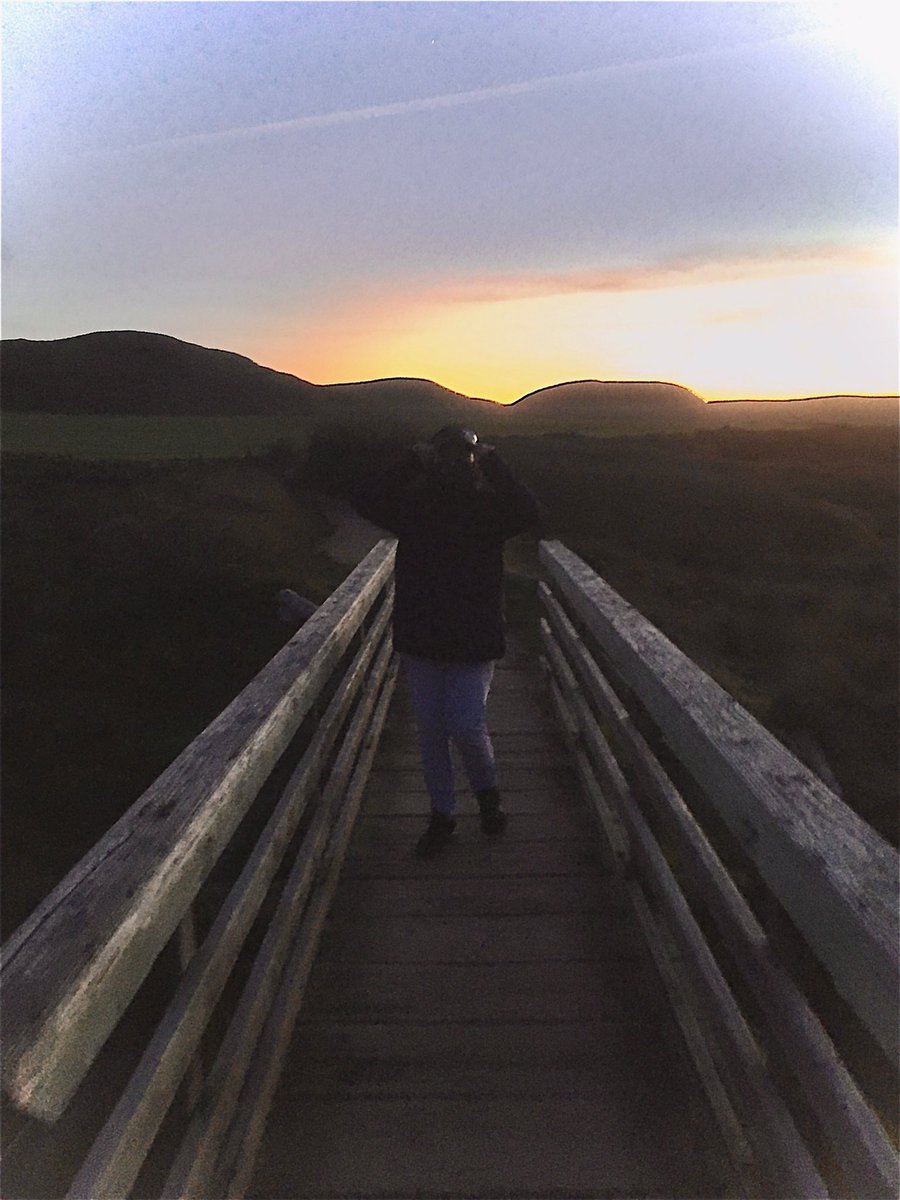 trc15plays's tweet photo. Yesterday got lost by the sea. Spooky things were happenin. :0 https://t.co/1QKjybOCwo