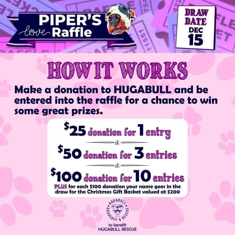 HugABull's tweet photo. 🎉 Raffle is officially open!!🎉
Judy, the kind soul who has been lovingly fostering Piper  is putting together a raffle to help raise funds for HugABull! 

To find out more information and how to enter please click the link:
https://t.co/HyyWhDAZsT
#raffle #specialneedsdog https://t.co/D1bsy3X980