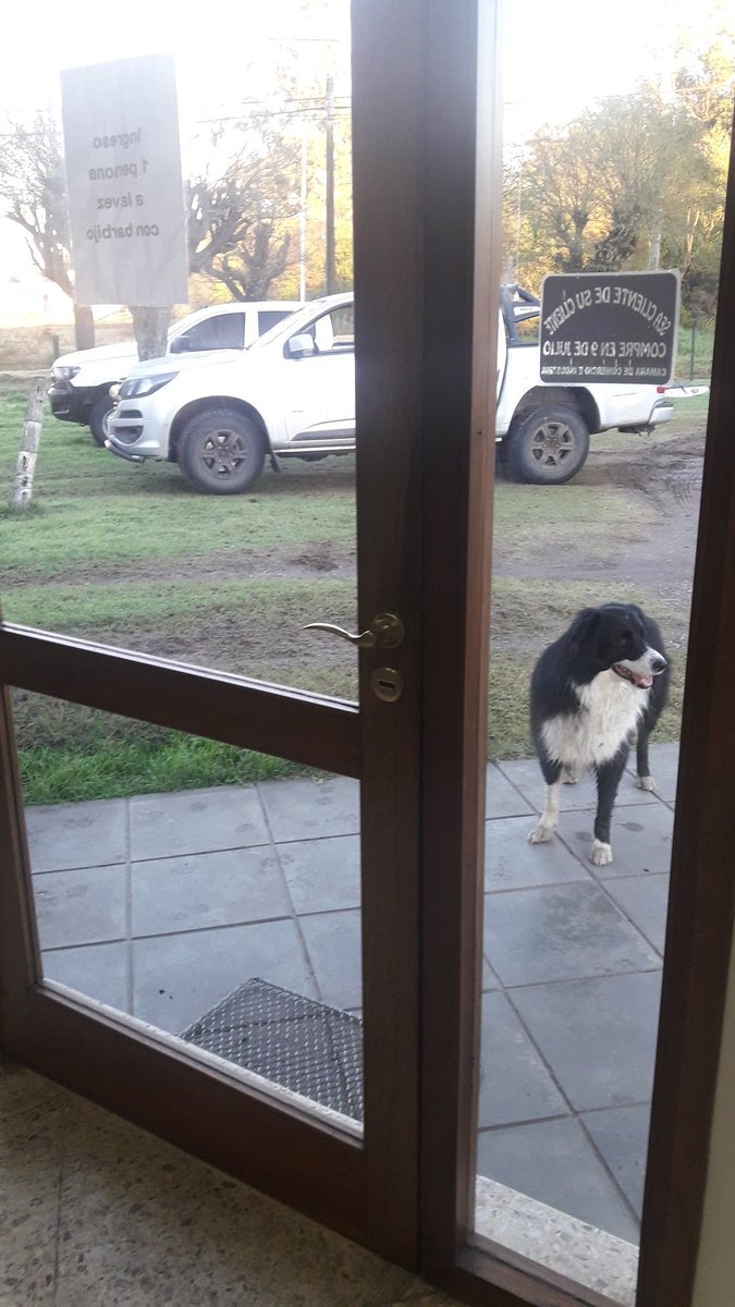 StefoniLuis's tweet image. Te voy a encontrar hermano!!