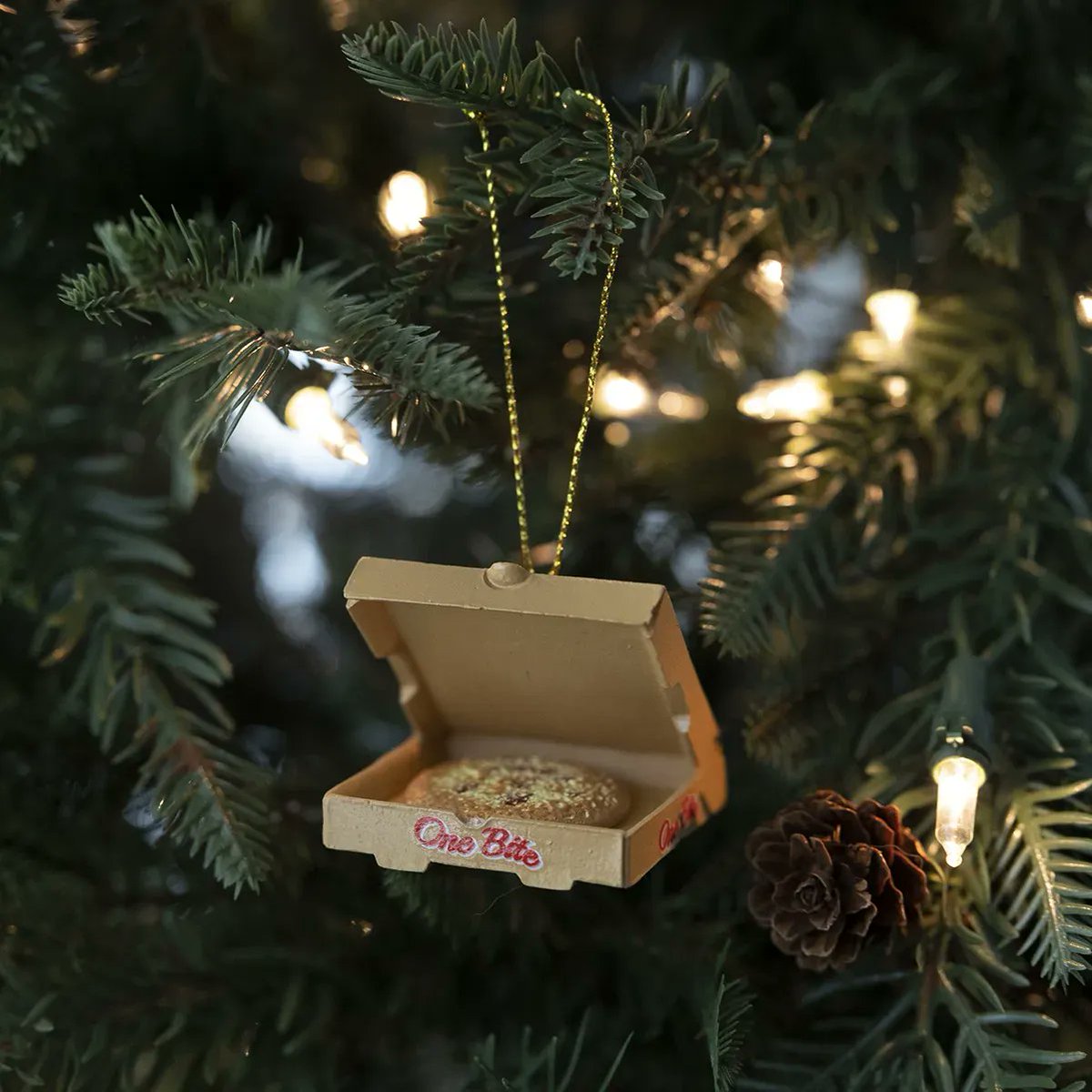 5th Year tweet media