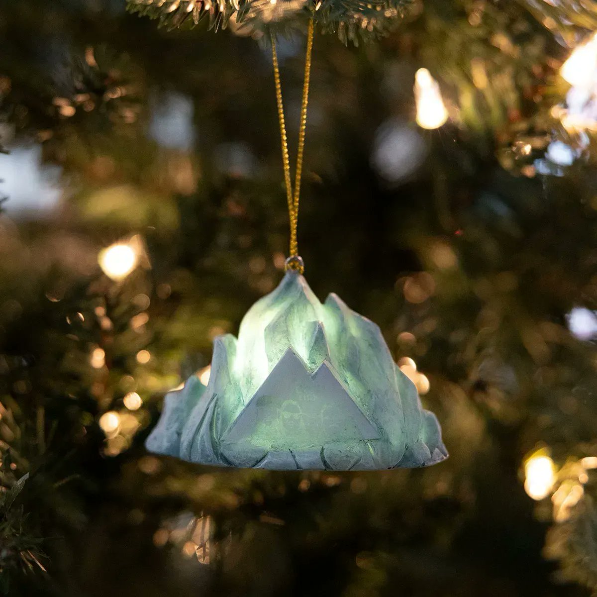 5th Year tweet media